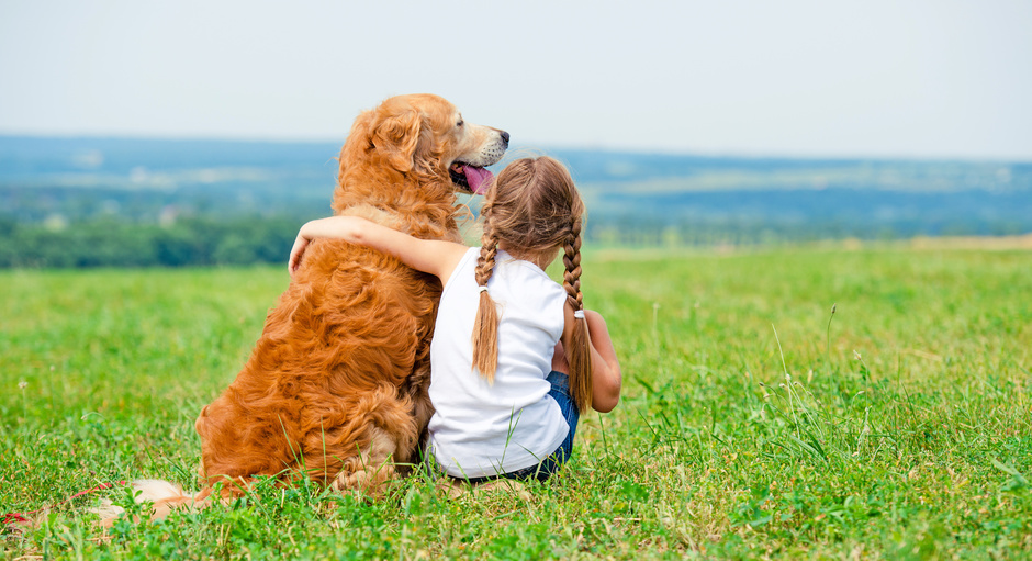 bilder mit hund und mensch